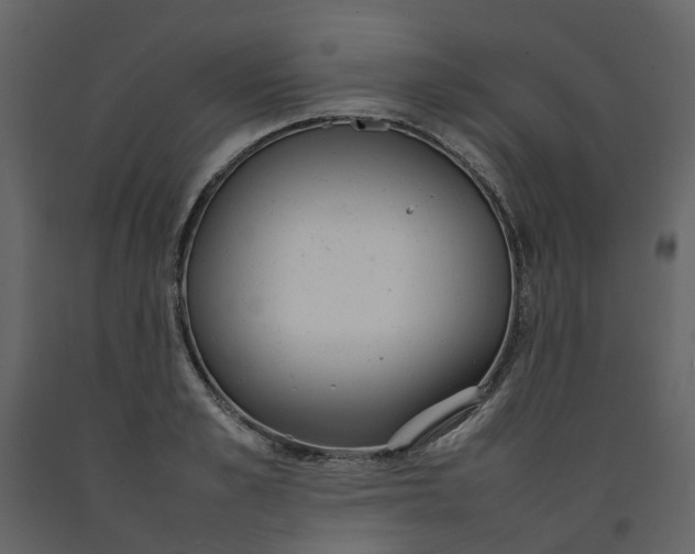 X0000092240989200710051235