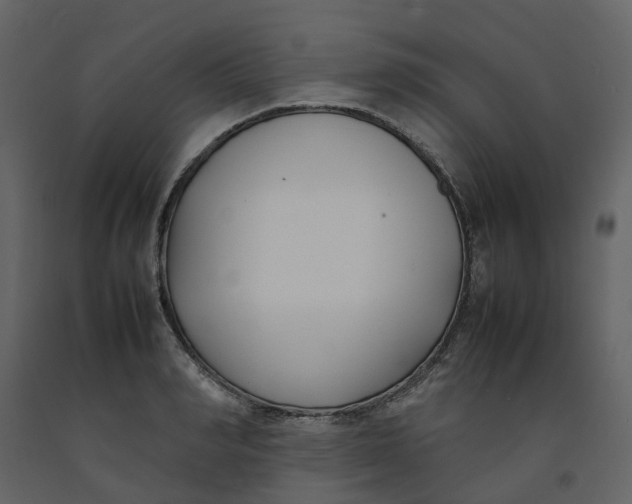 X0000092240990200710051235