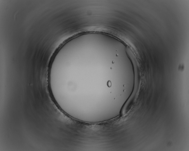 X0000092240992200710051235