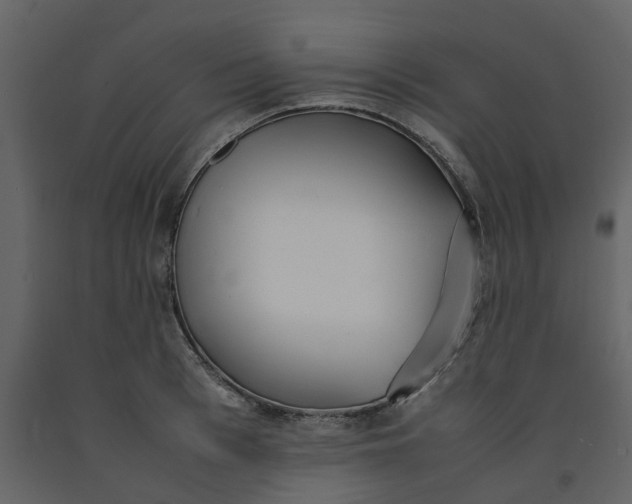 X0000092240993200710051235