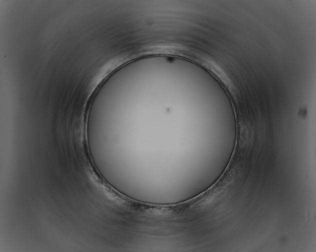 X0000092240994200710051235