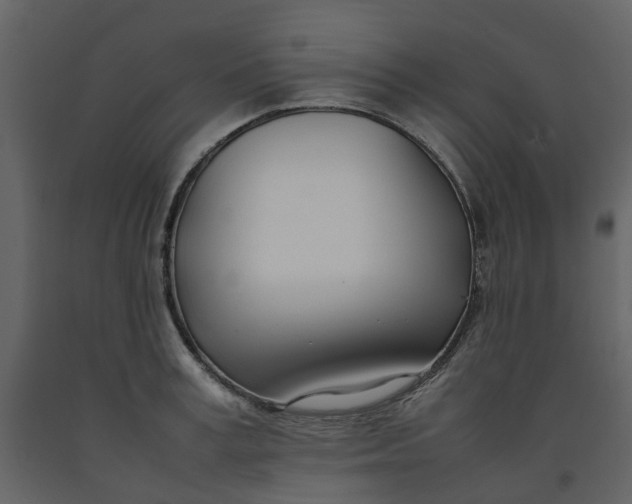 X0000092240995200710051235