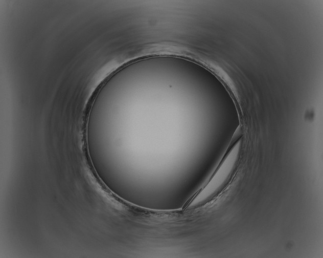 X0000092240997200710051235