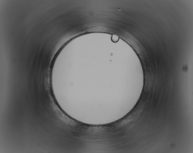 X0000092241000200710051235