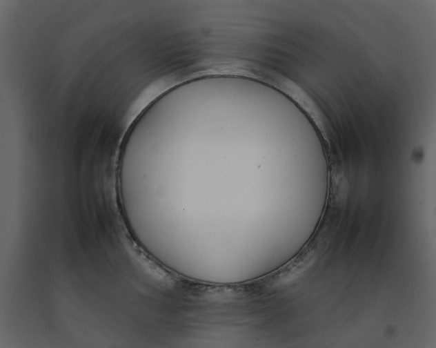 X0000092241002200710051235