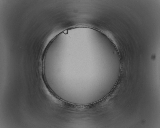 X0000092241003200710051235