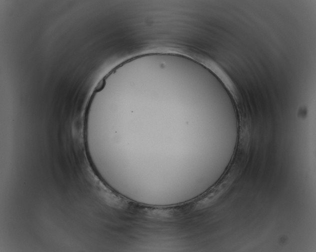 X0000092241004200710051235