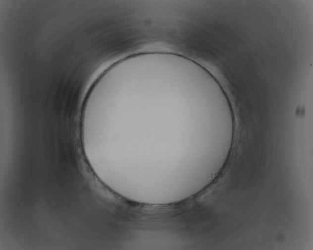 X0000092241008200710051235