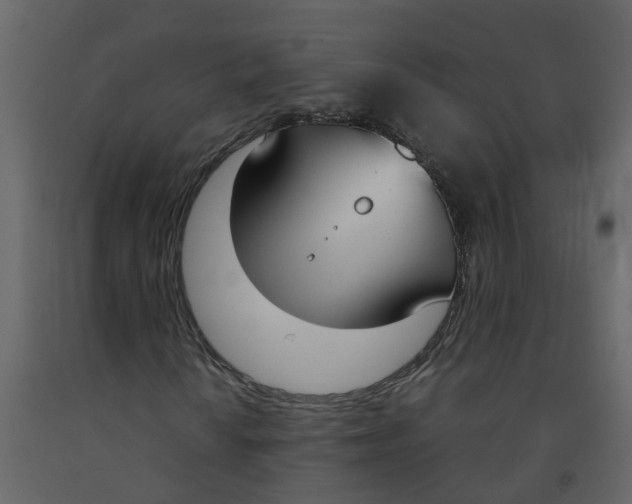 X0000092241010200710051234