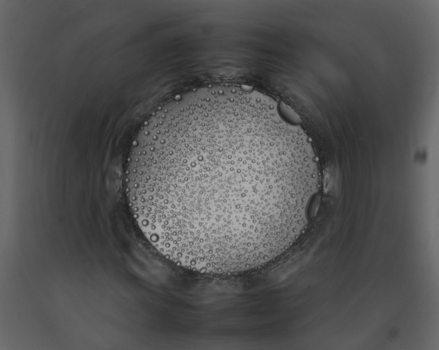 X0000092241011200710051234