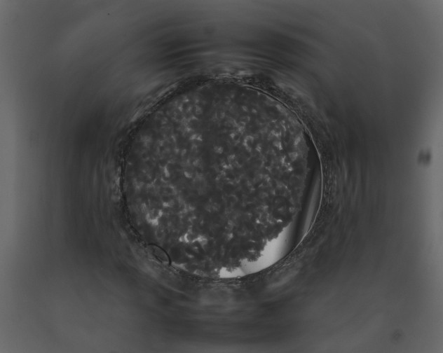 X0000092241013200710051234