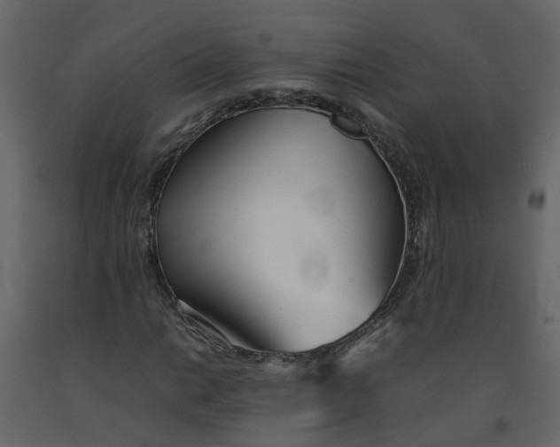 X0000092241014200710051234