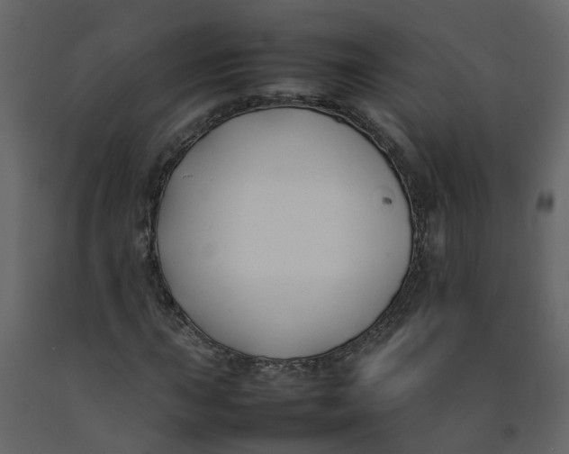 X0000092241015200710051234