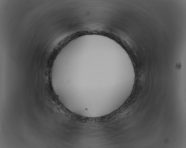 X0000092241016200710051234