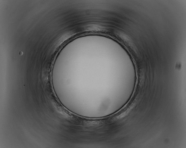 X0000092241017200710051234