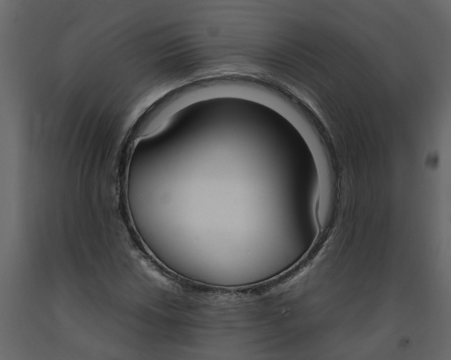 X0000092241018200710051234