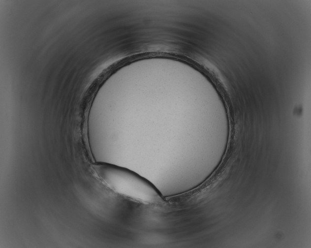 X0000092241019200710051234