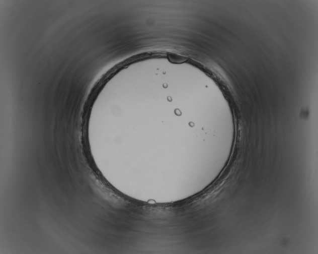 X0000092241020200710051234