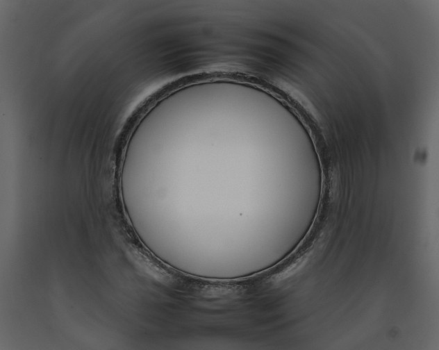 X0000092241021200710051234