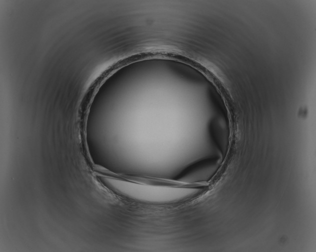 X0000092241022200710051234