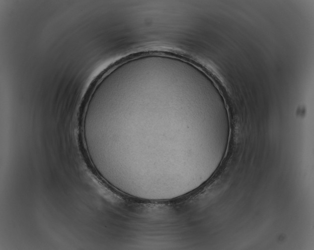 X0000092241024200710051234