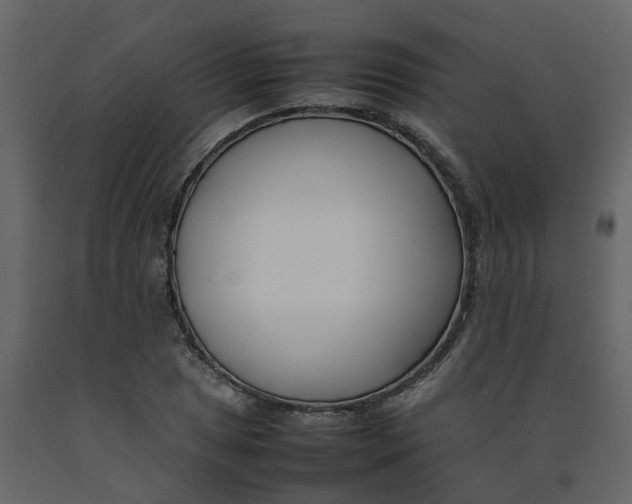 X0000092241025200710051234