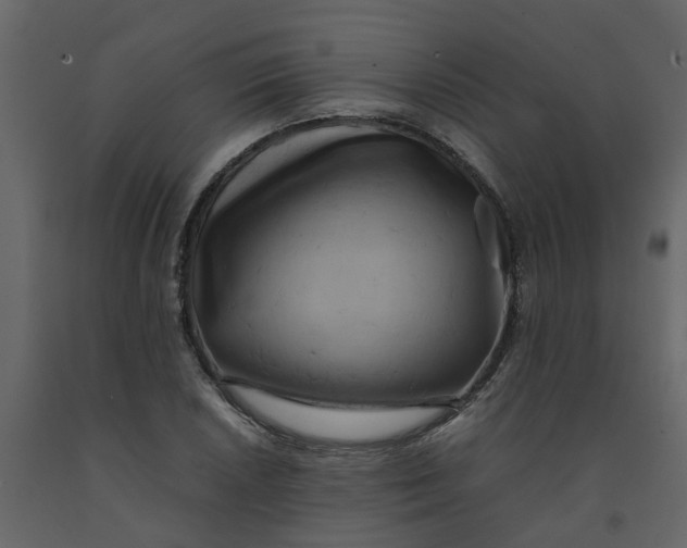 X0000092241026200710051234