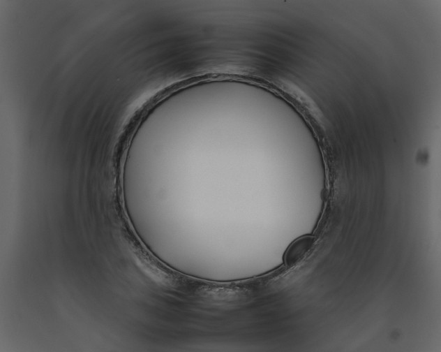 X0000092241027200710051234