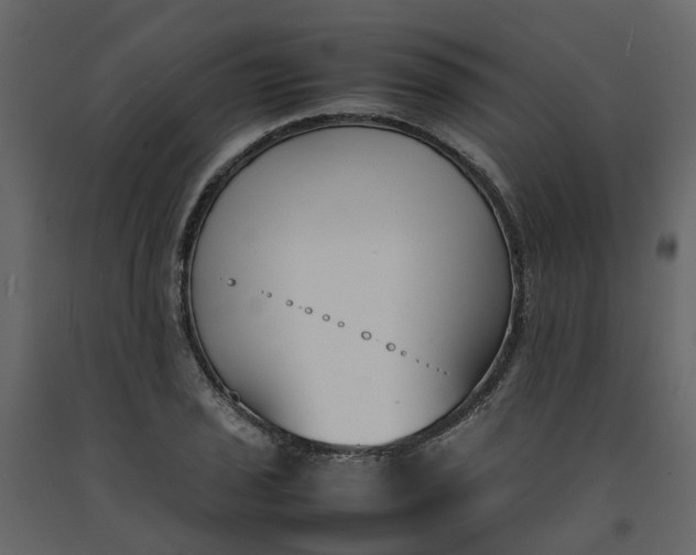 X0000092241029200710051234