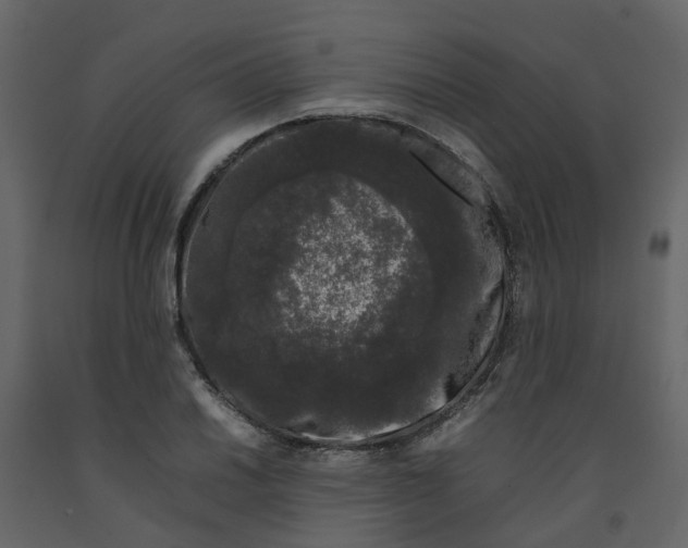 X0000092241030200710051234