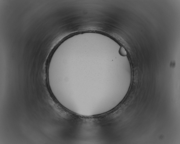 X0000092241031200710051234