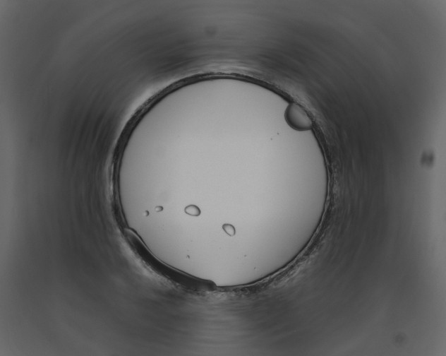 X0000092241032200710051234