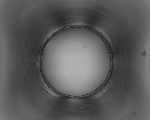 X0000092241033200710051234