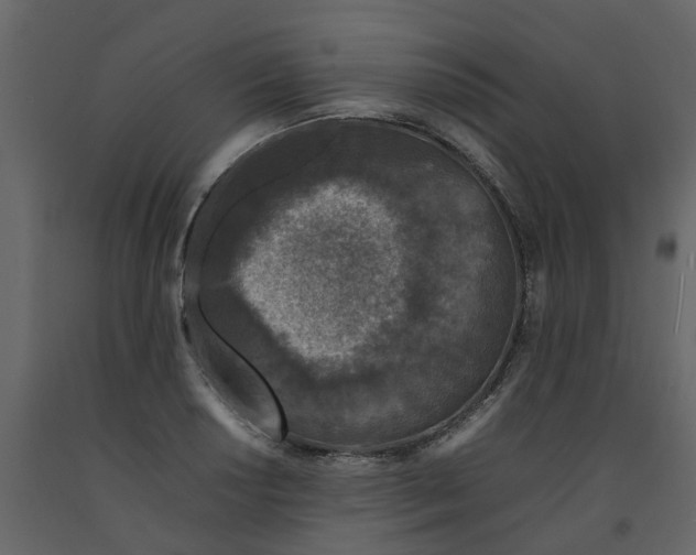 X0000092241034200710051234