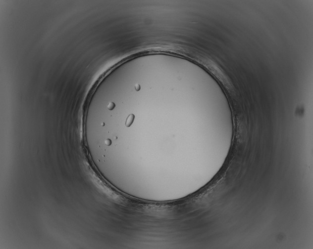 X0000092241036200710051234