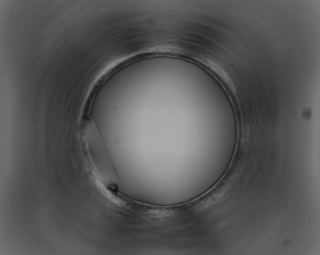 X0000092241037200710051234