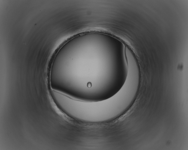 X0000092241038200710051234