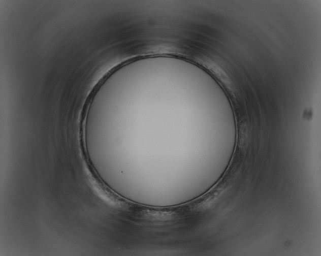 X0000092241039200710051234