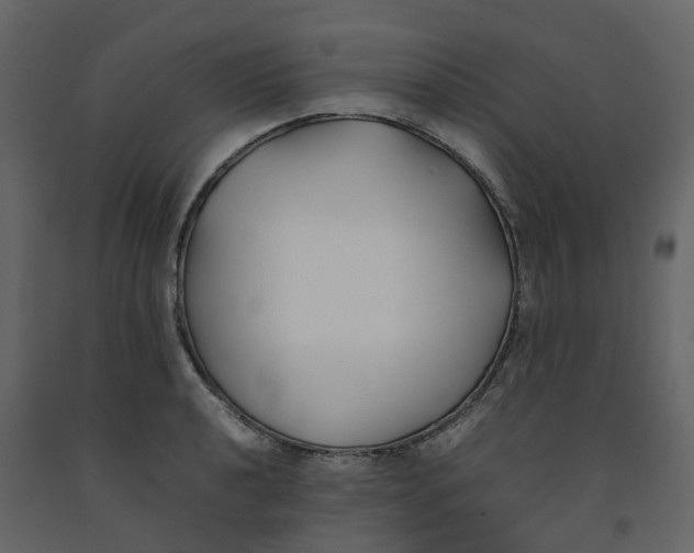 X0000092241040200710051234