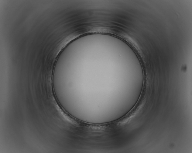 X0000092241041200710051234