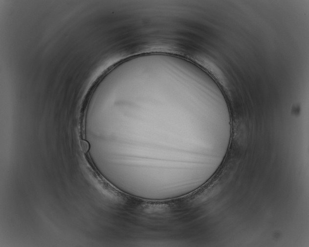 X0000092241043200710051235