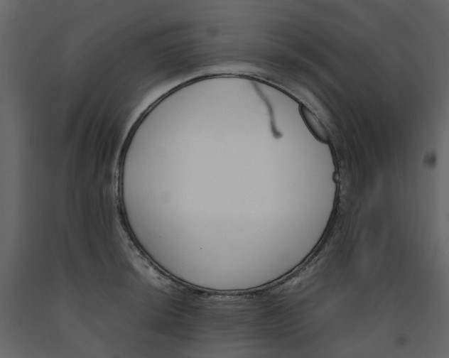 X0000092241044200710051235