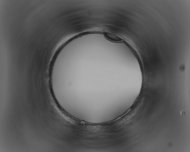 X0000092241045200710051235