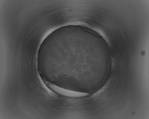 X0000092241046200710051235