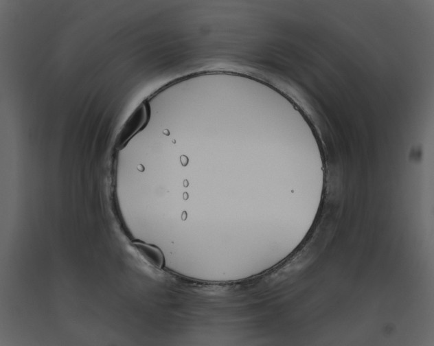 X0000092241048200710051235