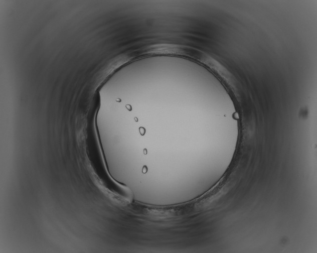 X0000092241049200710051235