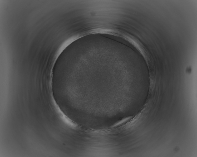 X0000092241050200710051235