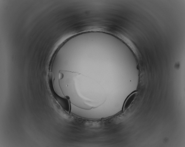 X0000092241051200710051235