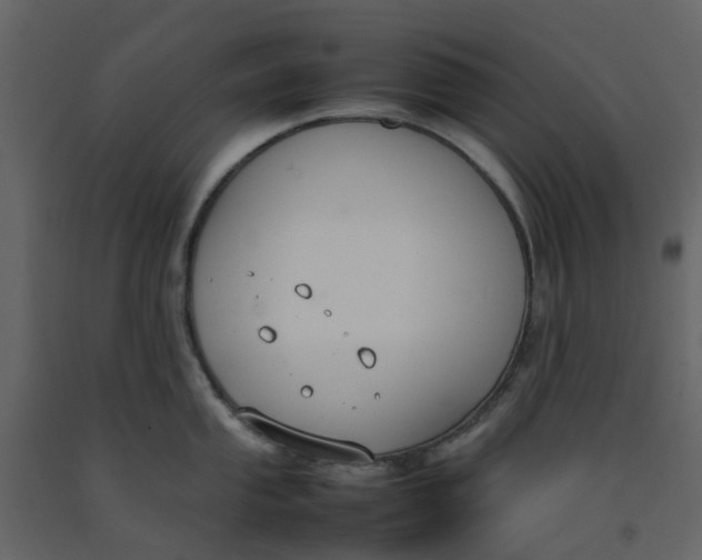 X0000092241053200710051235