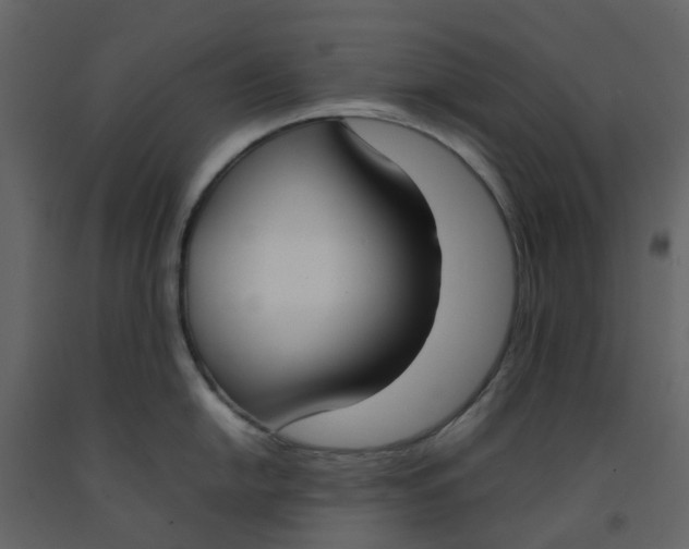 X0000092241054200710051235